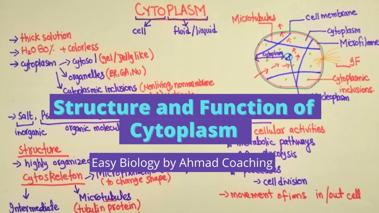 Structure and Function of Cytoplasm | Biology