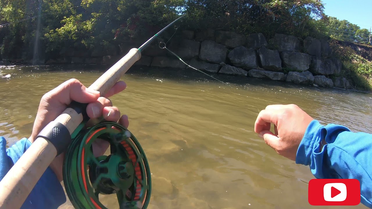 Salmon Fishing 2021 ( Ganaraska river Port Hope )