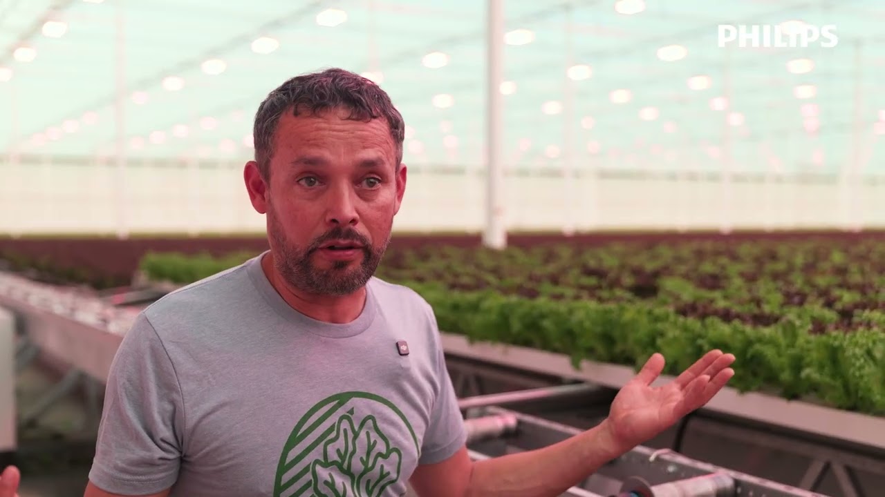 Equinox Growers improved crop quality and achieved consistent yield using toplighting force