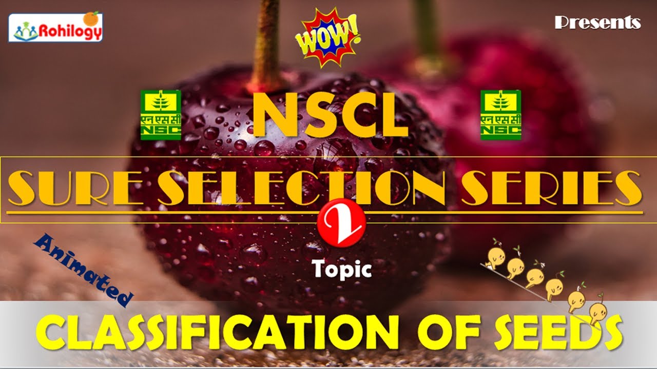 Classification of seeds|types of seeds|nscl vacancy 2020|production of seeds|| tagging of seeds |nsc