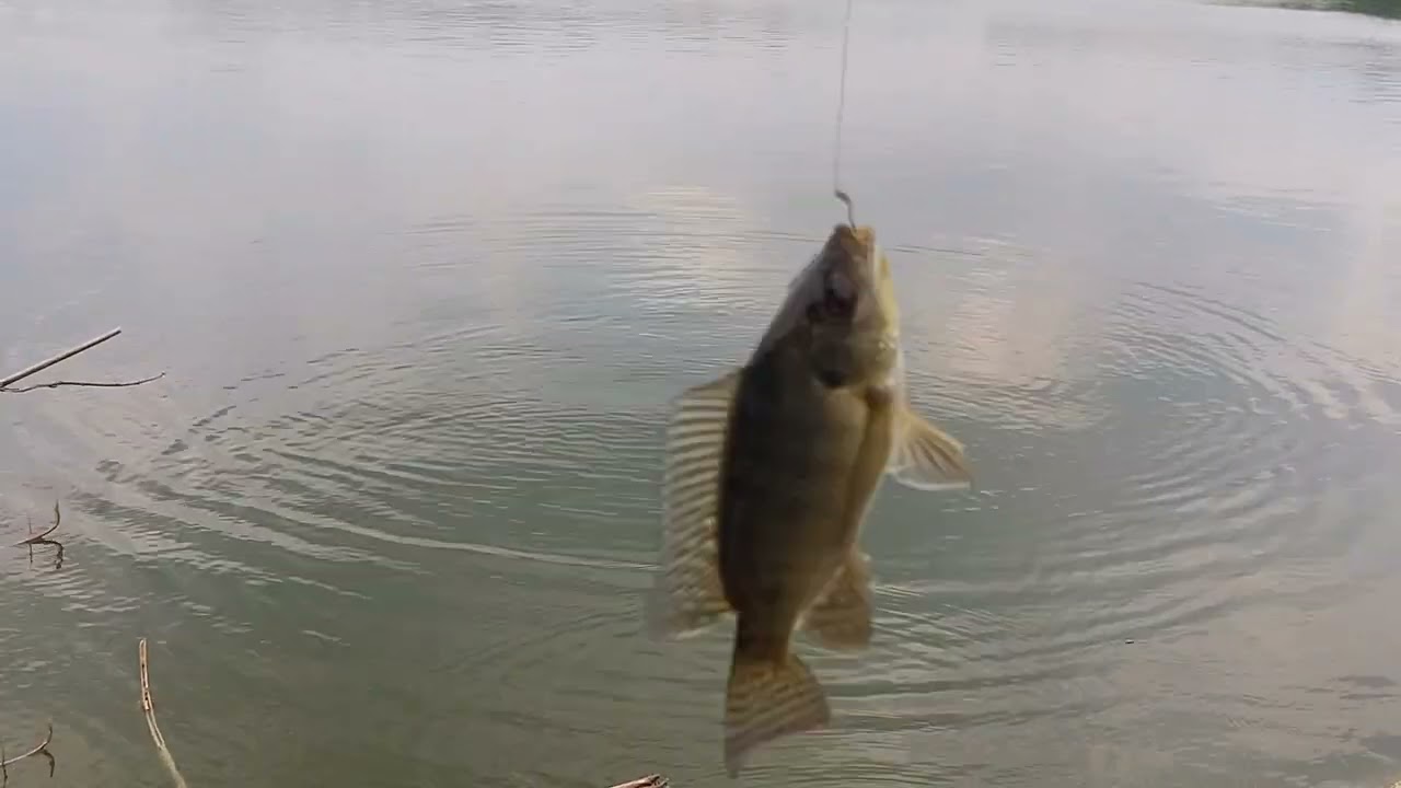 Tháng 6 mùa mưa câu cá luôn bất ổn.