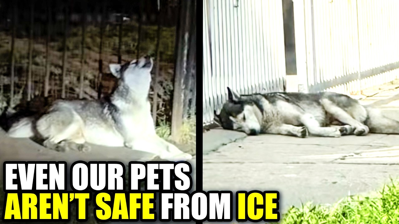 ICE's Cruelty Goes SO MUCH Deeper Than You May Think