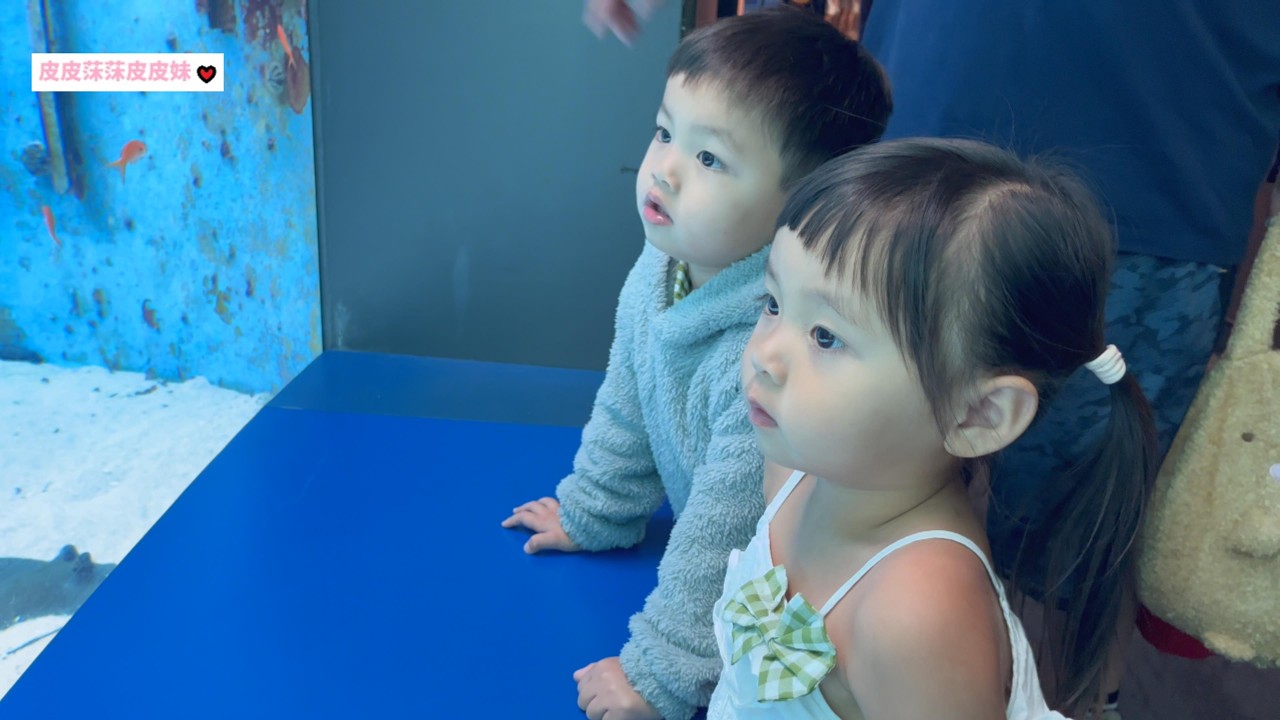 在沖繩美麗海水族館扭到喜歡的蛋