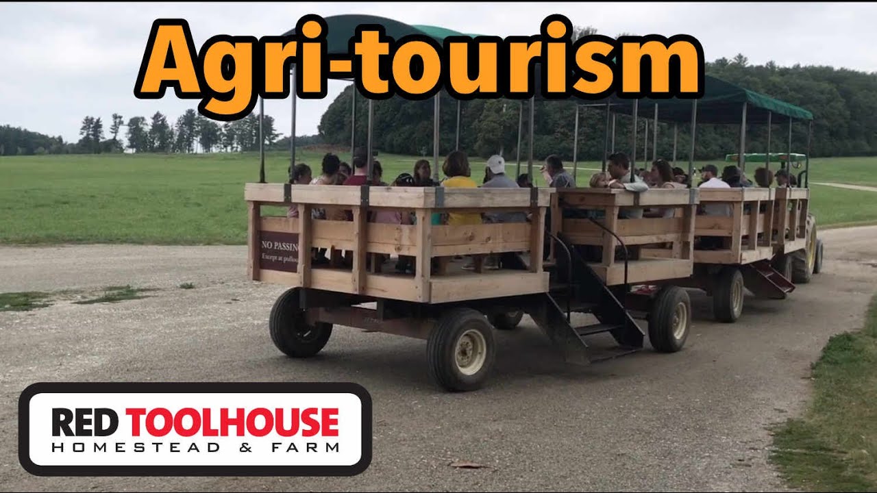 Making BIG $$$ in agri-tourism on 1400 acre farm