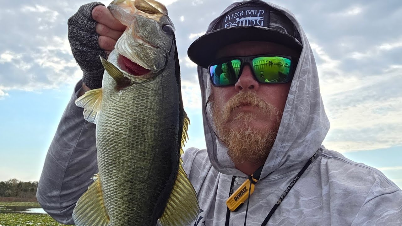Practice on The WinterHaven Chain