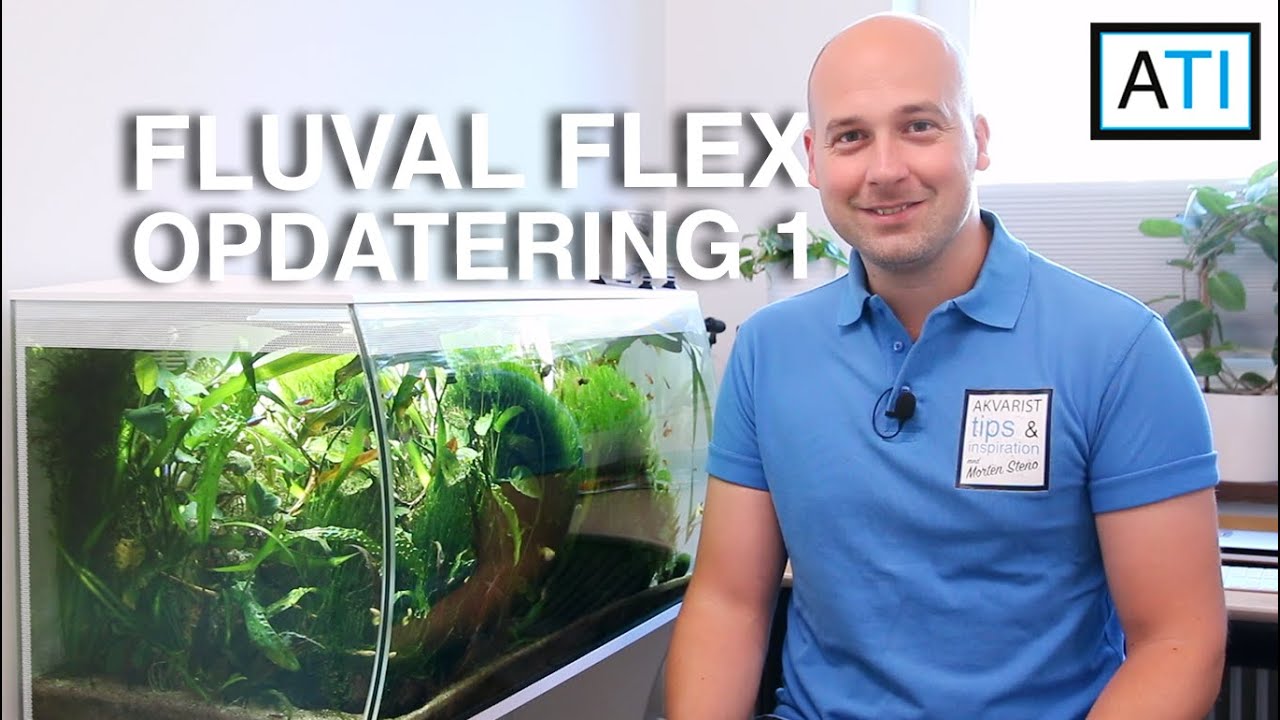 Fluval Flex 123L - Opdatering 1 - nye fisk