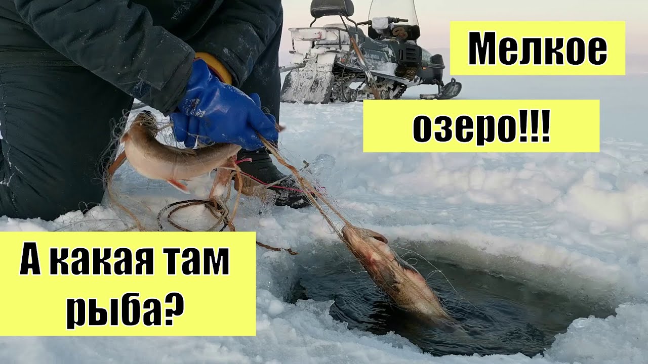 Проверка сети на мелком озере!!!