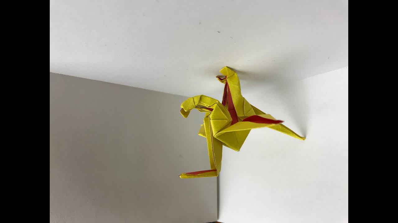 Origami Boxing Crane