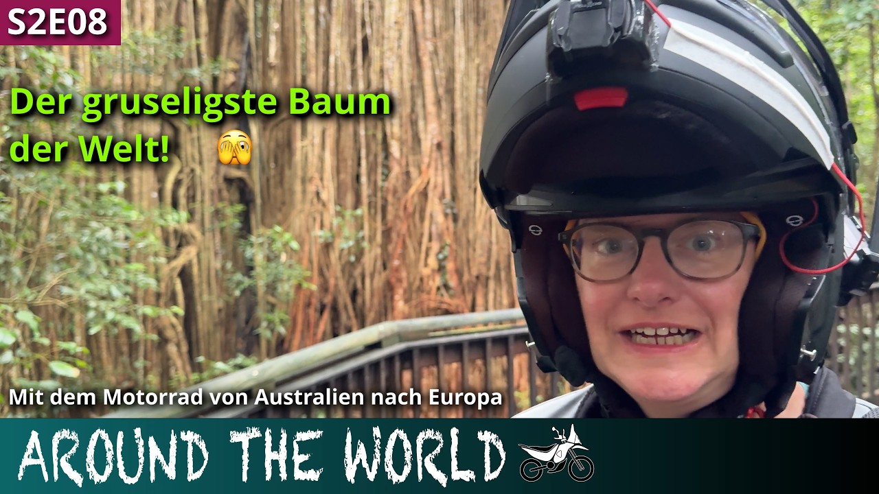 S2E08: Überraschungen im Regenwald - Mit dem Motorrad durch die australischen Tropen!