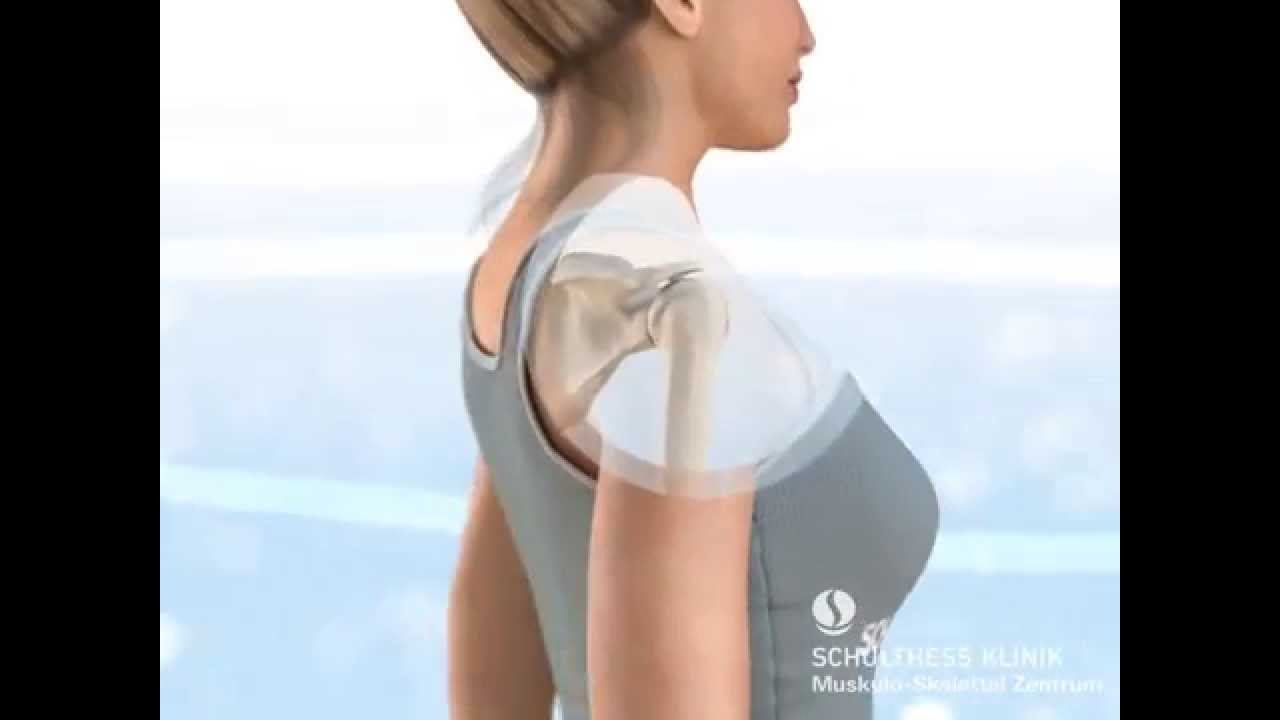 «Die Anatomie der Schulter» - Schulthess Klinik