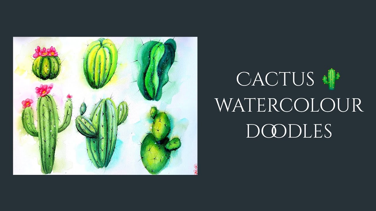 Part 6 ~ Cactus watercolour doodles 🌵 