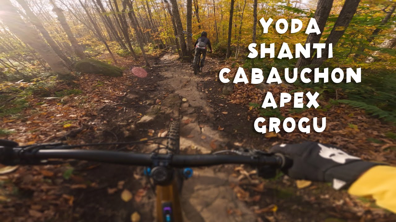 Centre castor de Québec en vélo de montagne