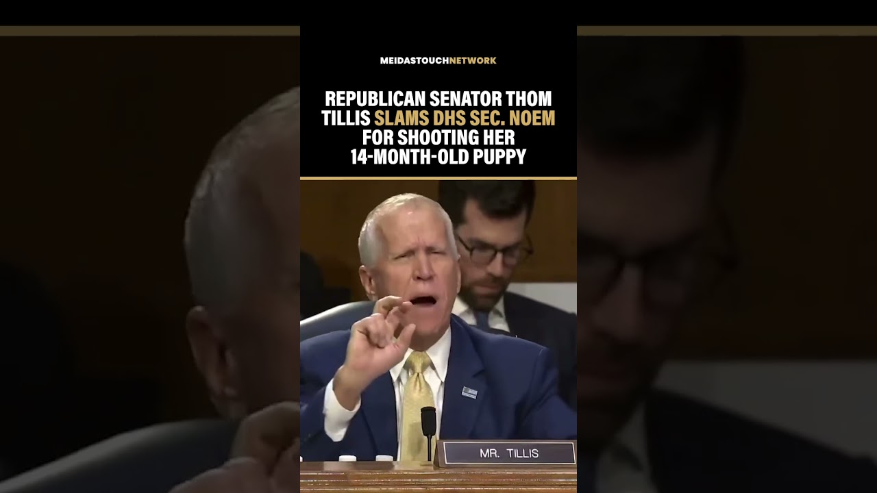 Republican Senator TAKES DOWN NOEM over Dog Killing