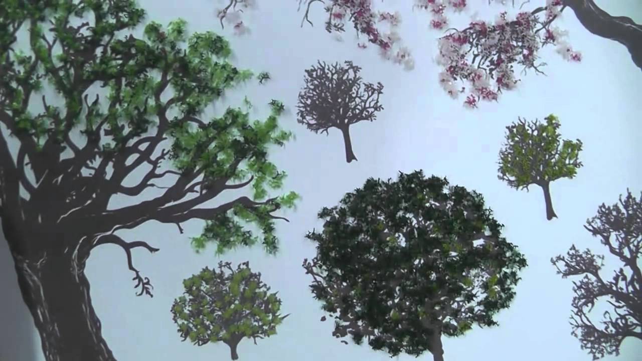 Tree Textures