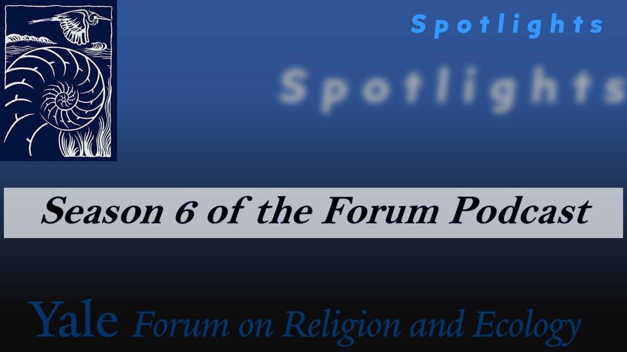 Spotlights, 6.1, A New Season for the Forum Podcast