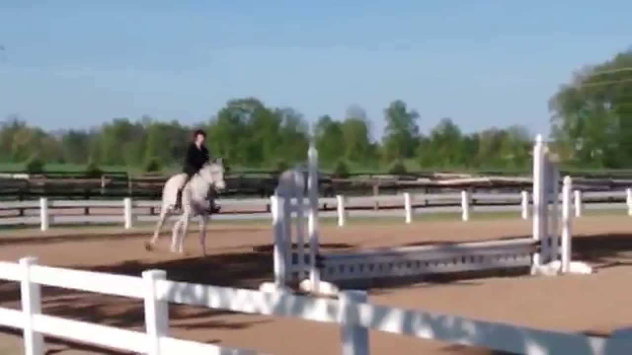 The Boy's blue ribbon round