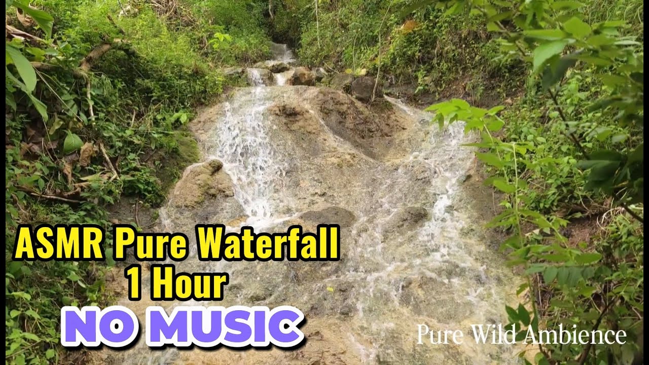 Waterfall Sounds for Studying & Concentration - Nature Soundscape for Deep Focus #waterfall #asmr