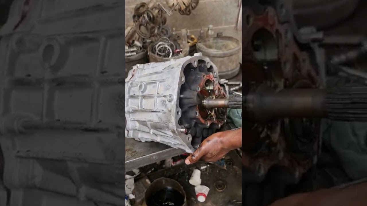 جير باص هايس 2020