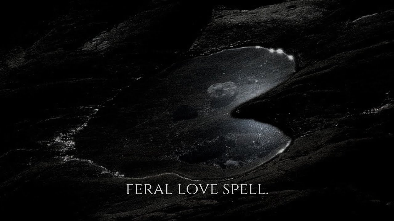 ╭ ⚠️ APHRODITE'S SPELL ༒︎ A LOVE THEY CAN'T ESCAPE (1X) ╮
