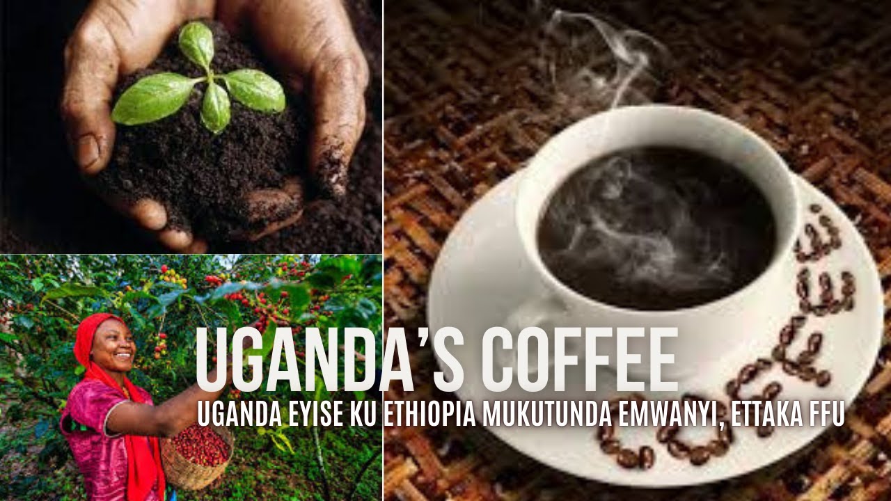 UGANDA EYISE KU ETHIOPIA MUKULIMA EMWANYI NAYE ETTAKA FFU