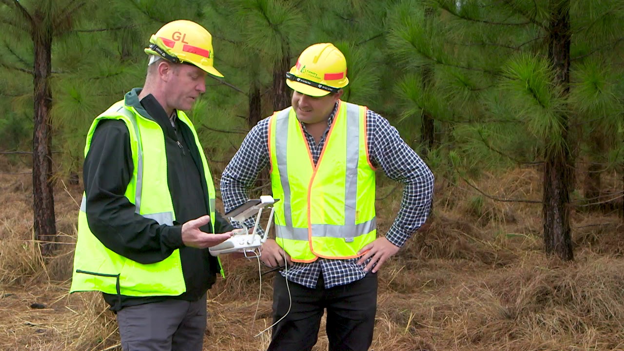Innovation in the bush - How forestry is moving ahead