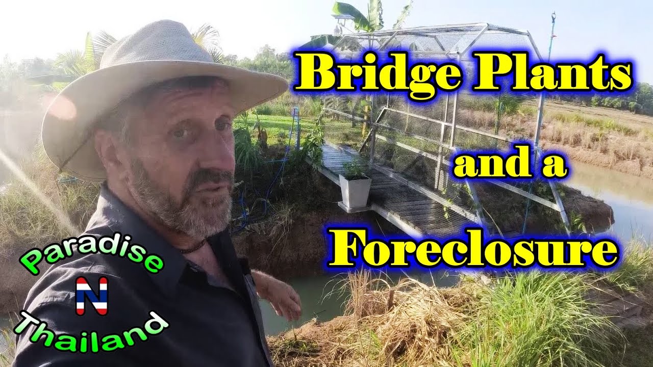Bridge Plants and a Foreclosure