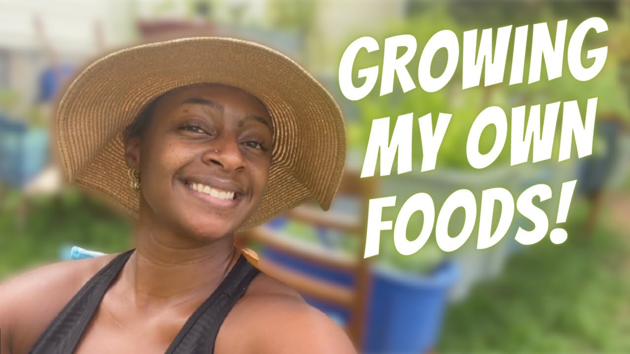 Container Garden Tour | Cheat Code To Starting A Garden | Black Girls Garden