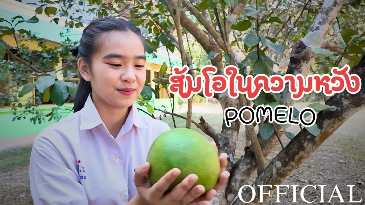ส้มโอในความหวัง - Pomelo【OFFICIAL MV】