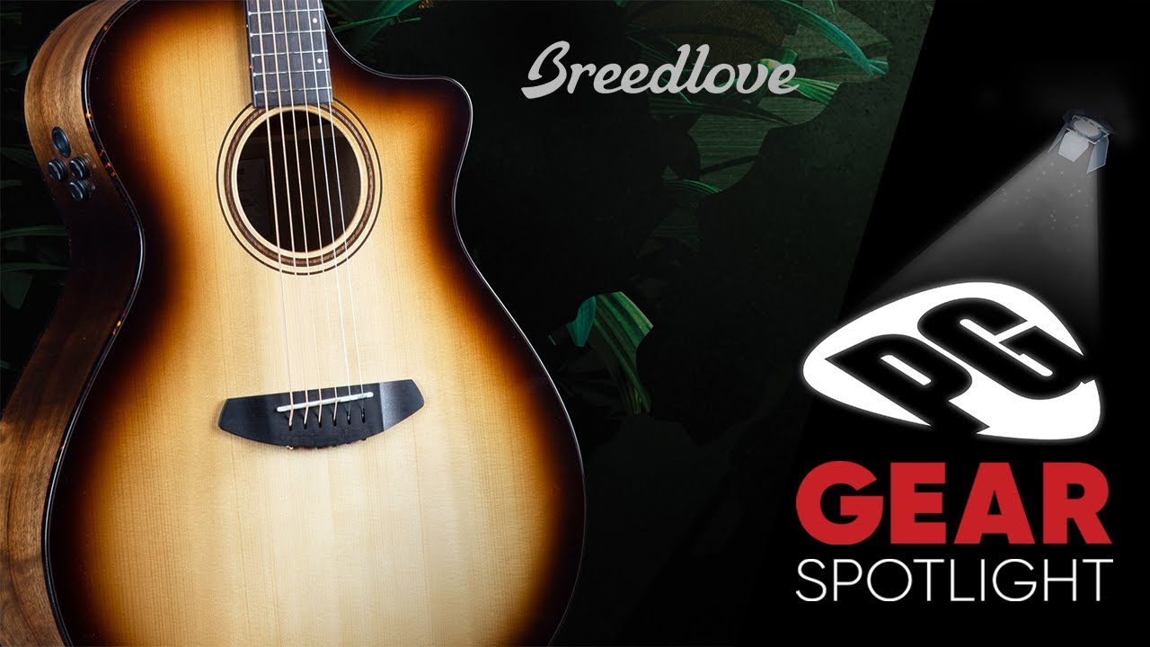 Breedlove Organic Pro Artista - Gear Spotlight