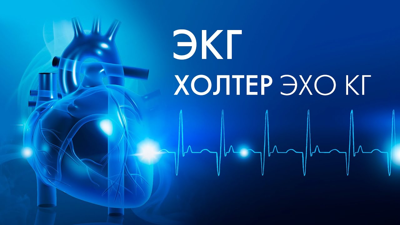 Советы кардиолога: ЭКГ, Холтер, ЭХО КГ