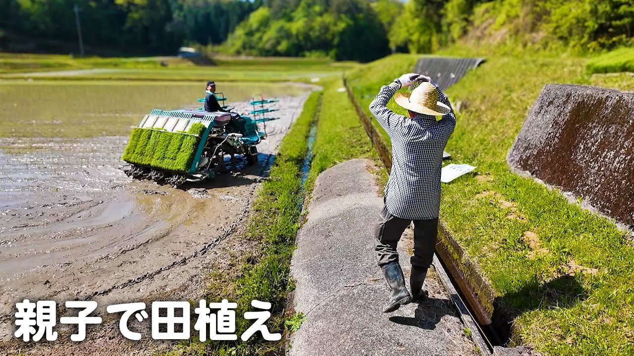 【田植え】親子で年に１度の大イベントを楽しんできました！【山口県】
