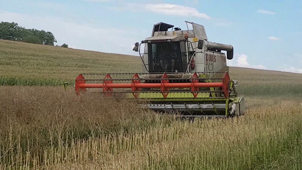 ŽNĚ 2017- zažery kombajnu  claas  lexion  450  ZD Škvořetice
