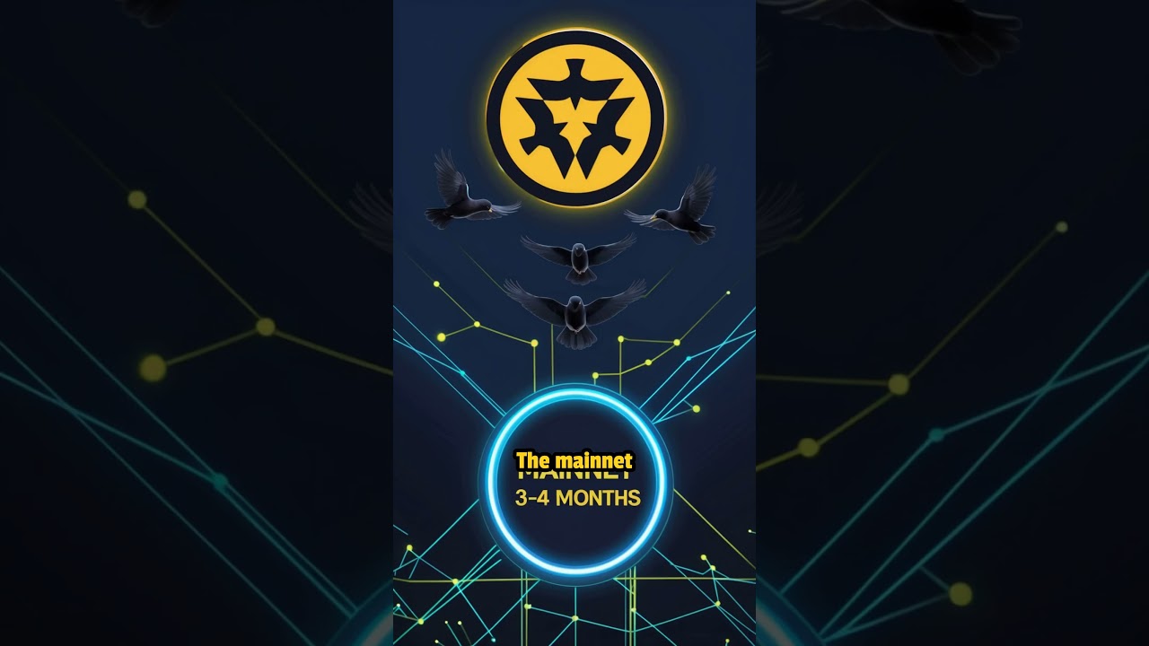 CAW Mainnet Update &ndash; 3-4 Months to Go! #caw #cawcoin #cawcrypto #eloncoin #elonmuskcoin