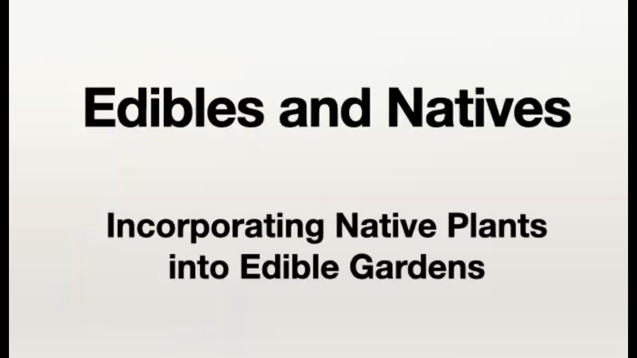 Chicago Grows Food August 2025 with Jeremy Ohmes, Combining Native & Edible Plants