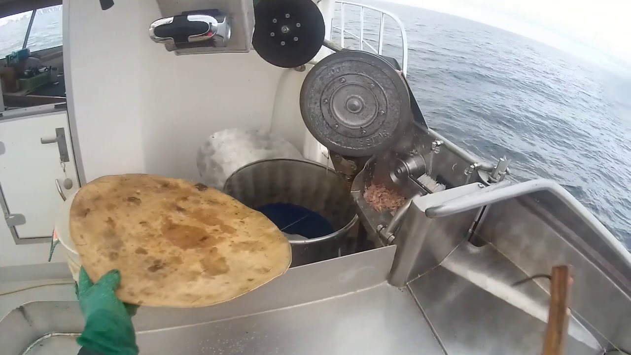 Line Fishing With Bj&oslash;rk&aring;sbuen - Norway