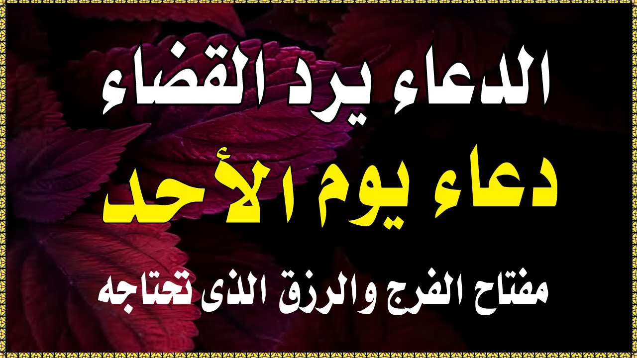 اجمل دعاء في صباح  يوم الاحد للرزق والفرج وقضاء الحاجة💚يفتح لك الابواب المغلقة ويرزقك رزقا كثير