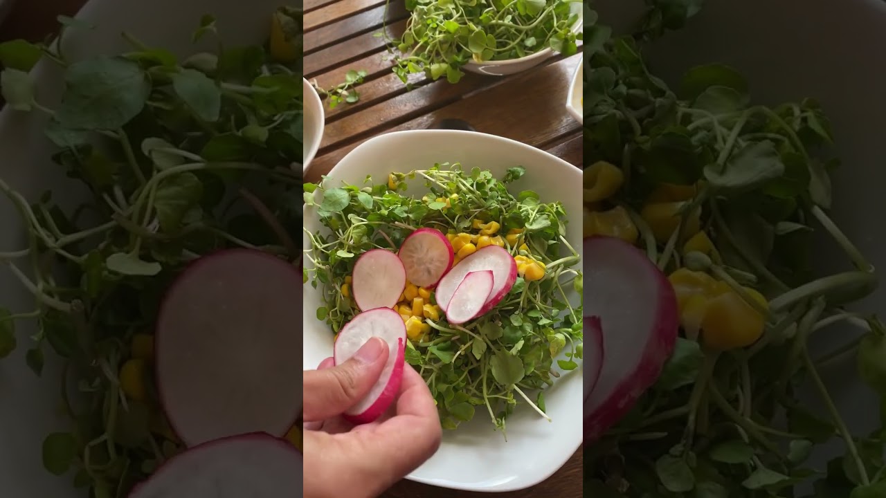 Ensalada de berros y ma&iacute;z dulce #shorts