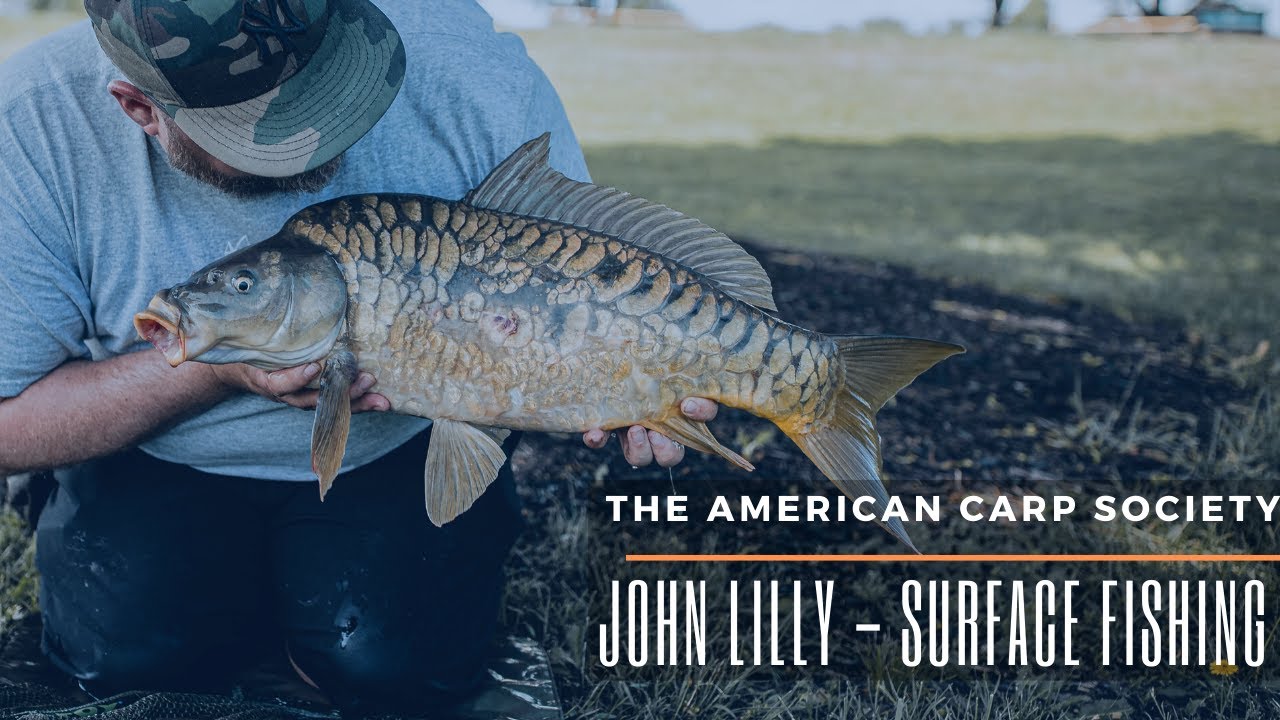 THE AMERICAN CARP SOCIETY - JOHN LILLY - FISHING FOR CARP WITH BREAD ON THE SURFACE