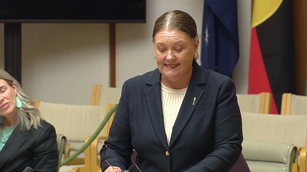 Constituent Statement - Linda Ann Colman (100326)