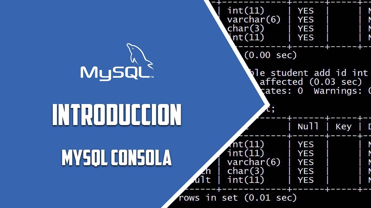 MYSQL Consola –  Comandos básicos – Video 58