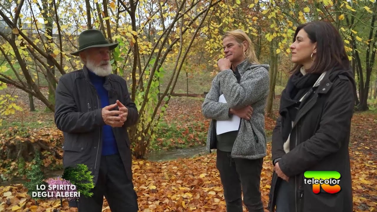 Lo spirito degli alberi: giardino botanico delle querce a Ome (BS) 17.12.2021
