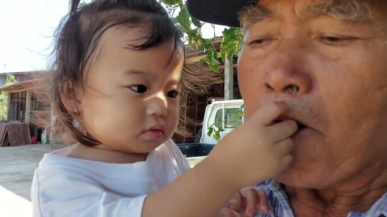 9 มีนาคม ค.ศ. 2026ย่าหน่อยทำเกษตรพาหลานออกกำลังกาย