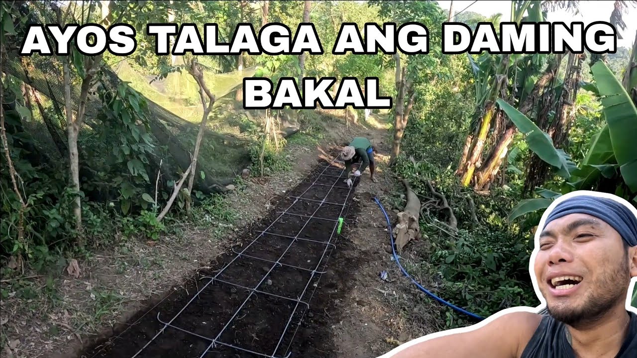 MATIBAY TO MALAMANG | Louie TV