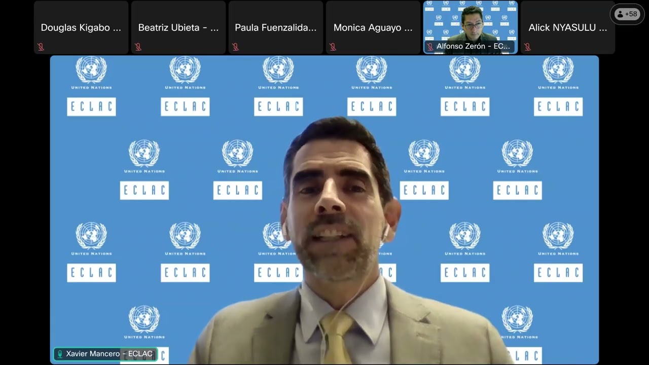 International Webinar on Measuring Illicit Financial Flows (IFFs) (18 Nov 2025)