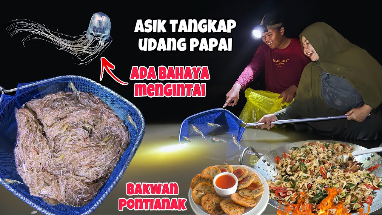 UBUR-UBUR KOTAK BERACUN‼️UDANG PAPAI TERJEBAK DI KUBANGAN