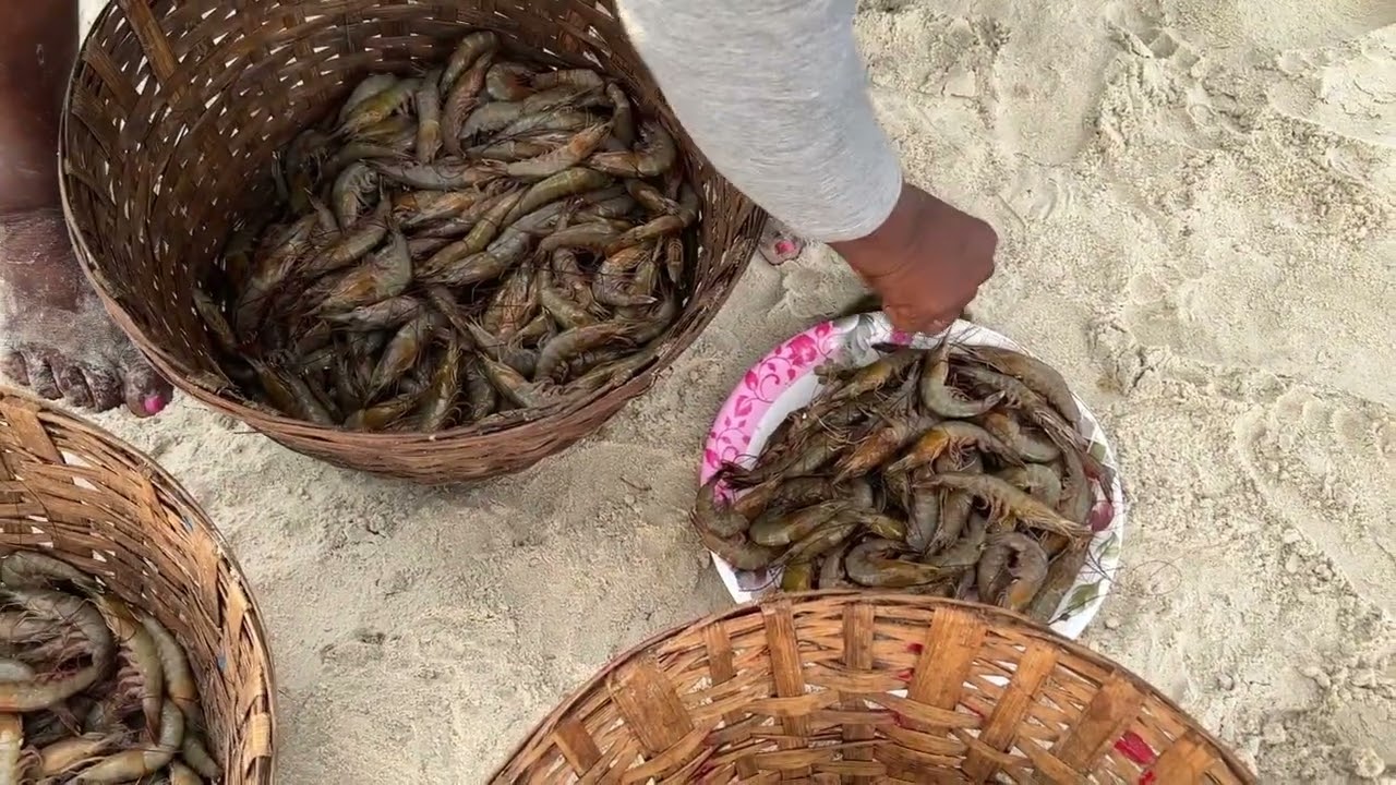 #Fish was in abundance at #Benaulim after the #fishing season commenced on August 1
