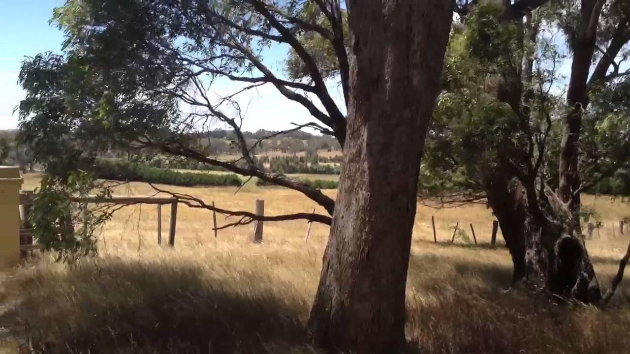 Tylden