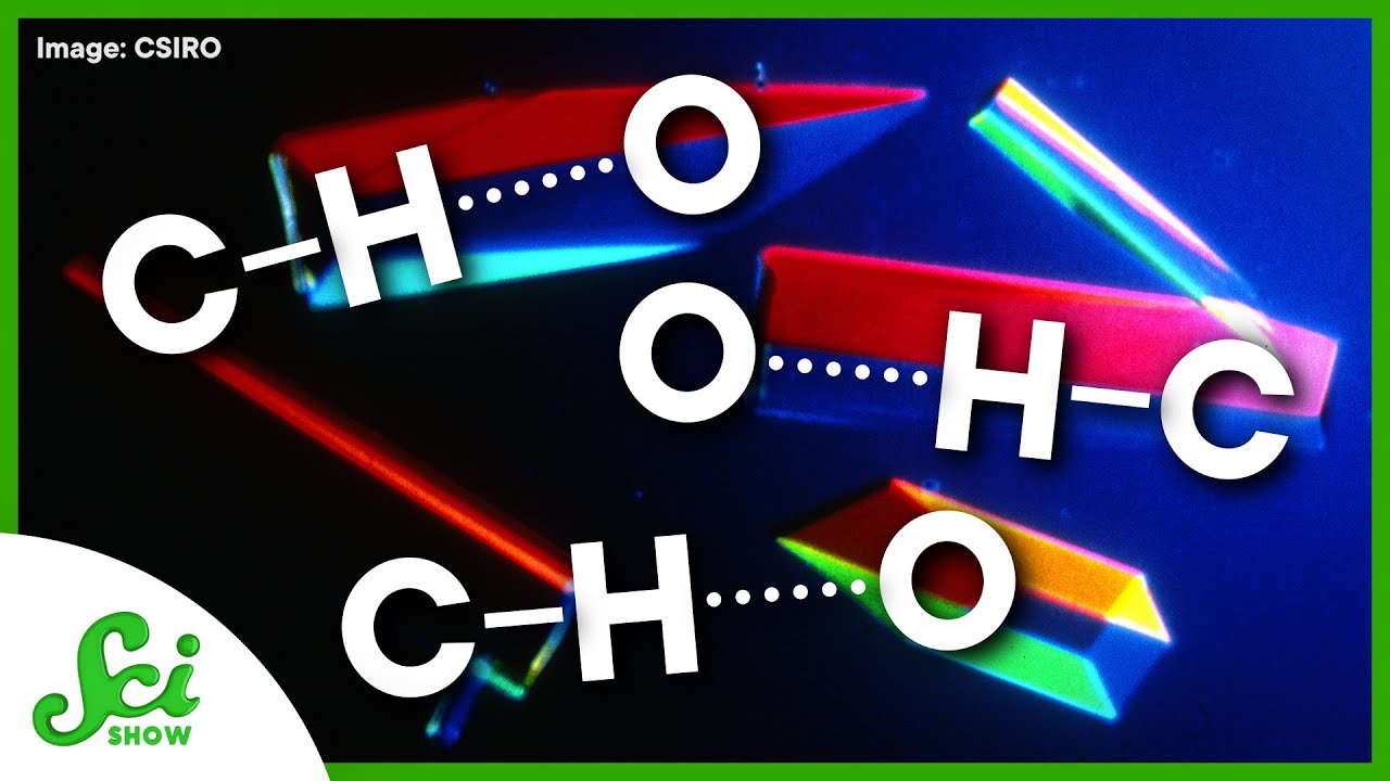 Hydrogen Bonding&hellip;but With Carbon | Great minds: June Sutor