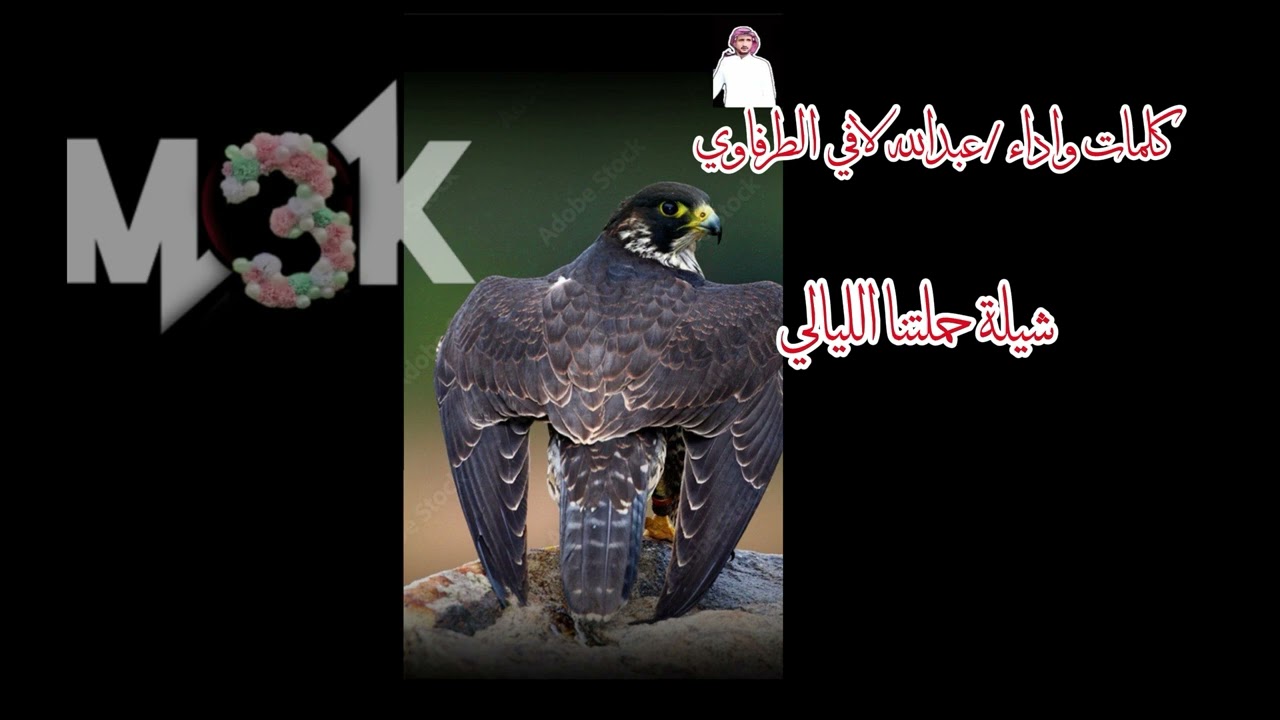 شيلة حملتنا الليالي@كلمات واداء عبدالله لافي الطرفاوي