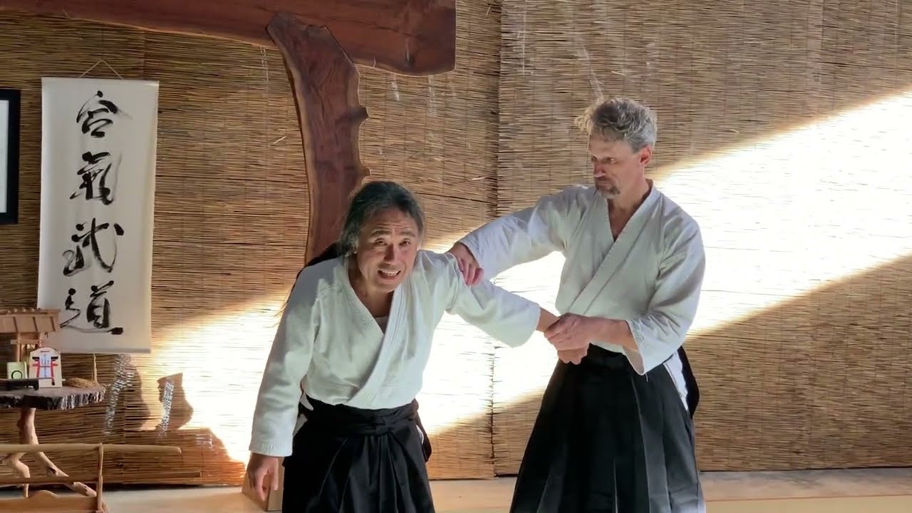 Yoshi Shibata Fascia Yin:Yang Connection 2019